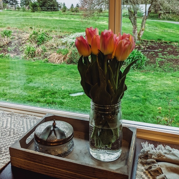 Meet your Posher, Halia - Picture 1 of 1